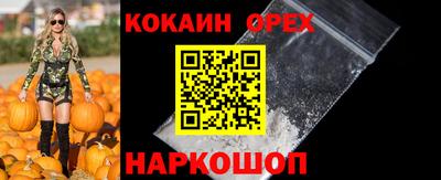 гашик Новокубанск