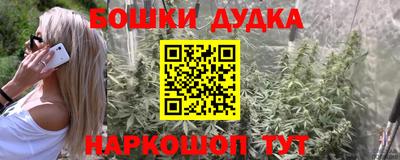 гашик Новокубанск