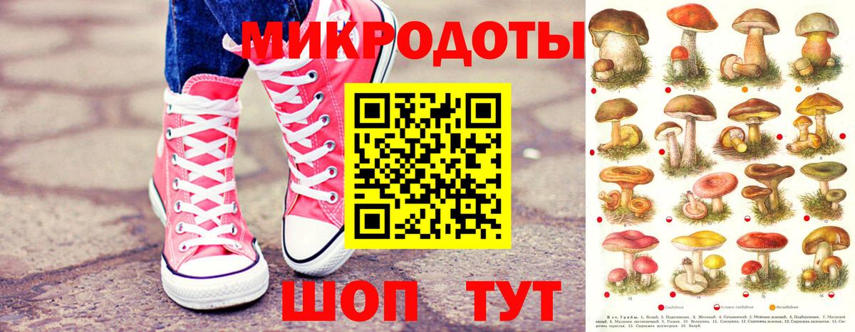 Псилоцибиновые грибы Magic Shrooms  Вход с VPN  цена   Сыктывкар 